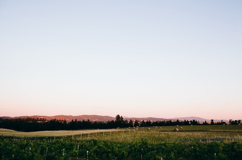 farm field