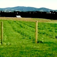 Winery Photo